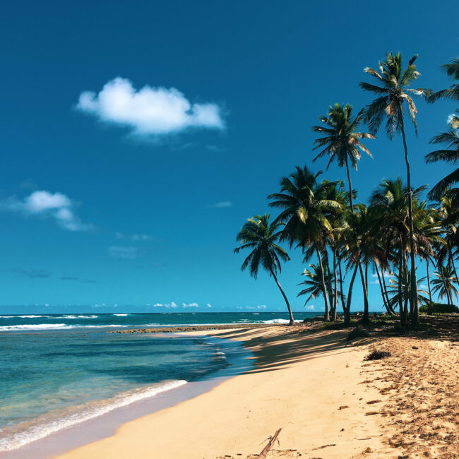 Bleu Marine Tour - République Dominicaine