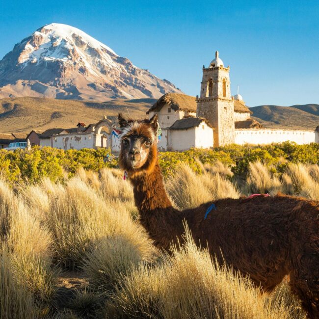 Quimbaya Latin America - Sarama National Park, Bolivie