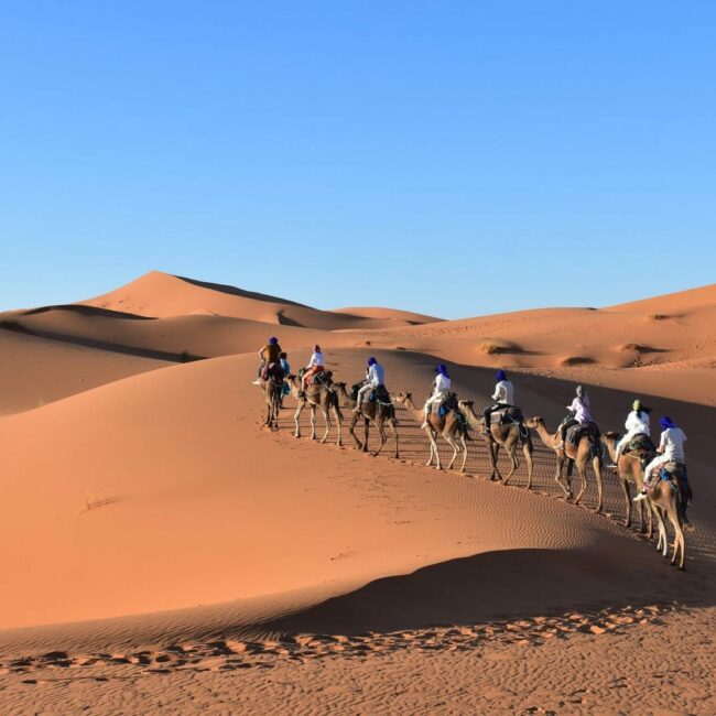 Algérie Tours
