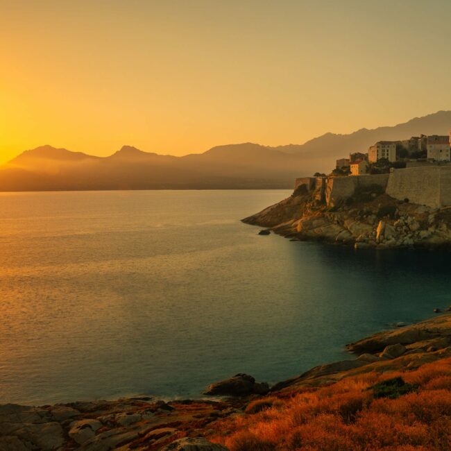 Ideal Operating - Calvi
